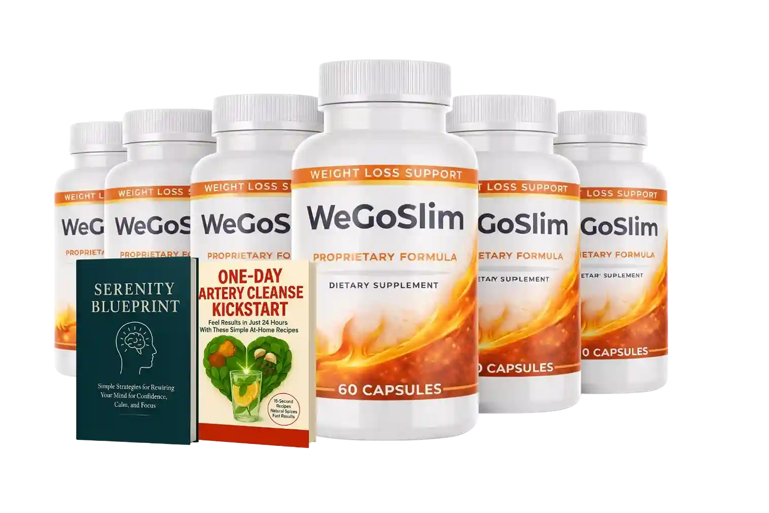 WeGoSlim 6-Bottle Bundle with Bonus Guides Official 2026